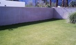 IMAG0409.jpg