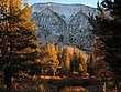 Sierraclimb07050.jpg