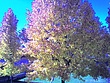 img0112.jpg