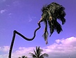 img0471.jpg