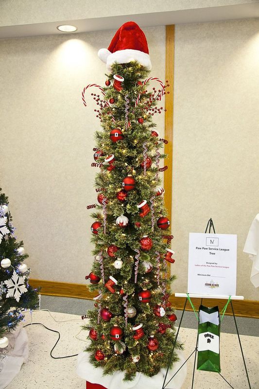 FestivalTrees_Auction_2015_13.jpg