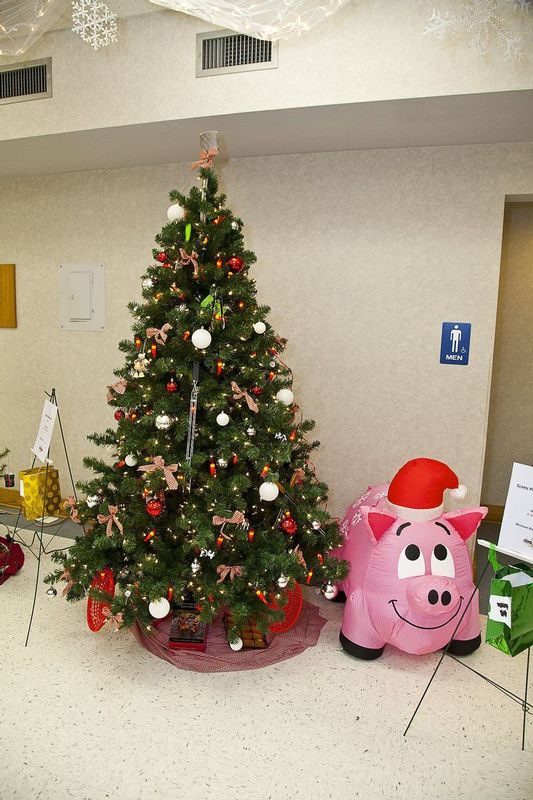 FestivalTrees_Auction_2015_22.jpg