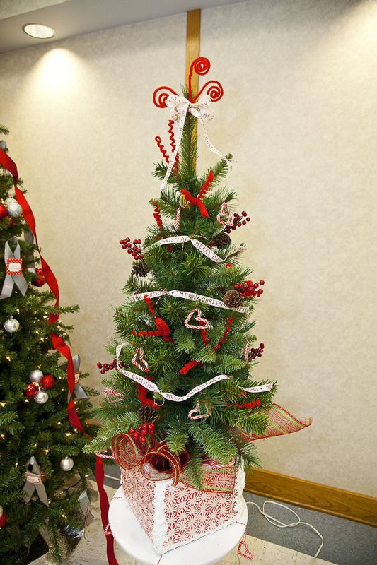 FestivalTrees_Auction_2015_29.jpg