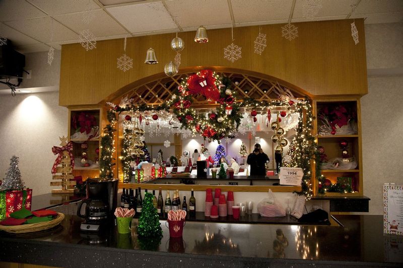FestivalofTrees_2015_11.jpg