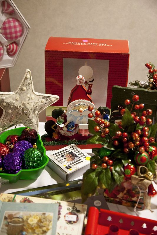 FestivalofTrees_2015_17.jpg