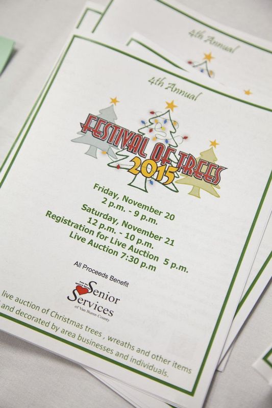 FestivalofTrees_2015_20.jpg