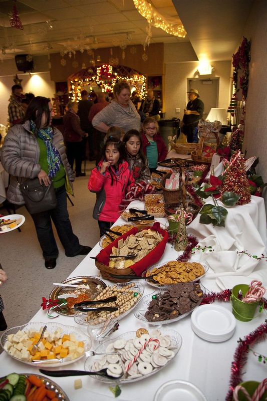 FestivalofTrees_2015_38.jpg