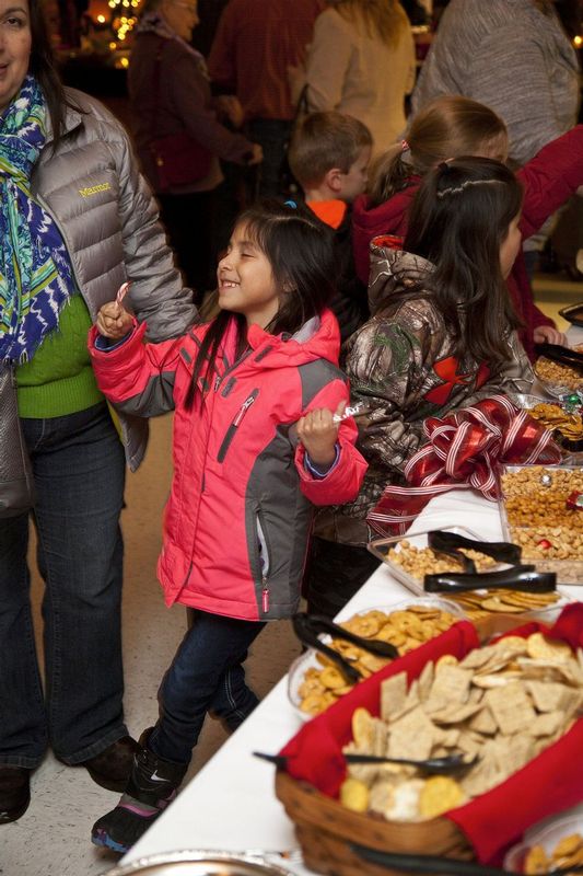 FestivalofTrees_2015_39.jpg