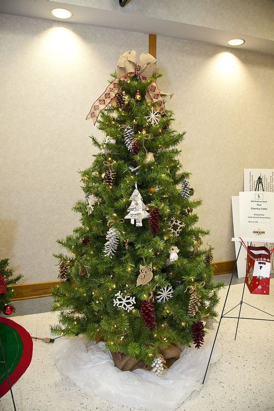 aFestivalTrees_Auction_2015.jpg