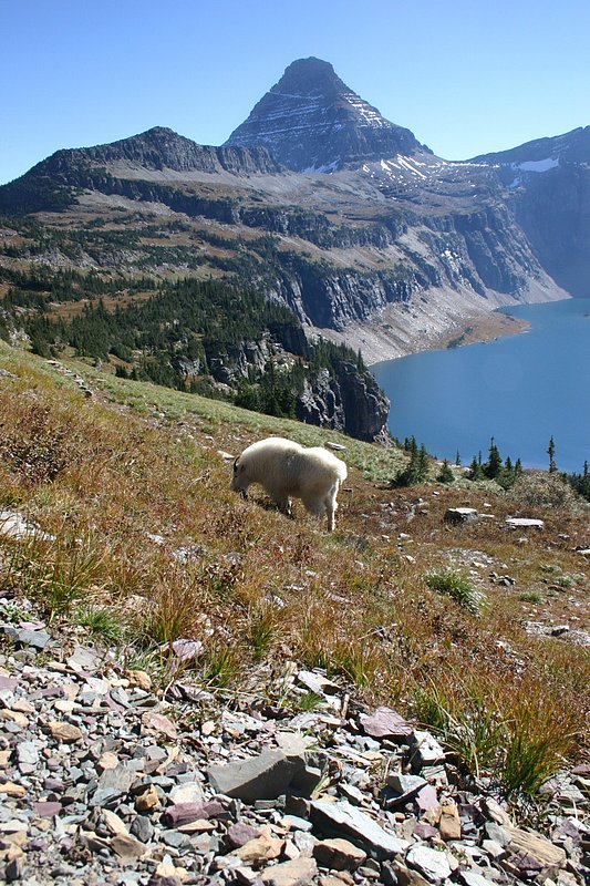 108-0888_IMG.jpg