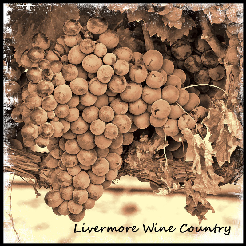 Grape_Text(1).jpg