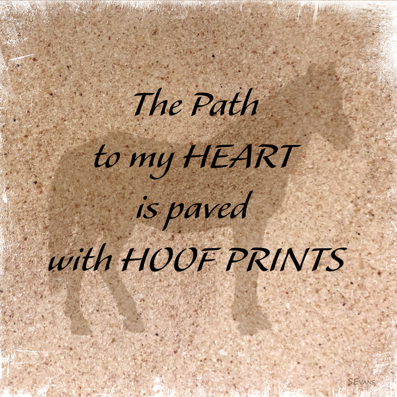 Horse_Quote(1).jpg