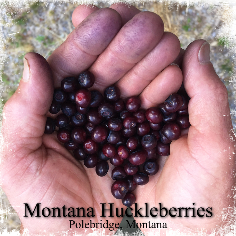 Huckleberry_Coasters2018_FINAL.jpg
