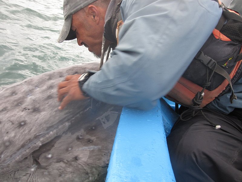 IMG_06771.jpg :: Poncho, our naturalist nearly got to kiss her.