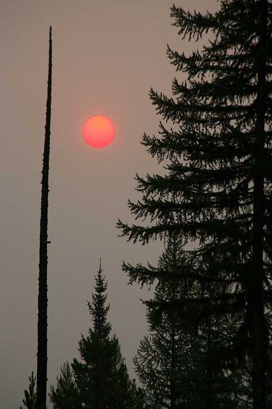 IMG_1842.jpg