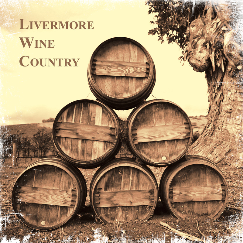 IMG_4059_barrels(1).jpg