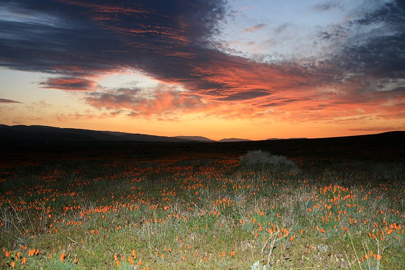 IMG_4828e.jpg :: Sunset from the Poppy Reserve visitor's center
