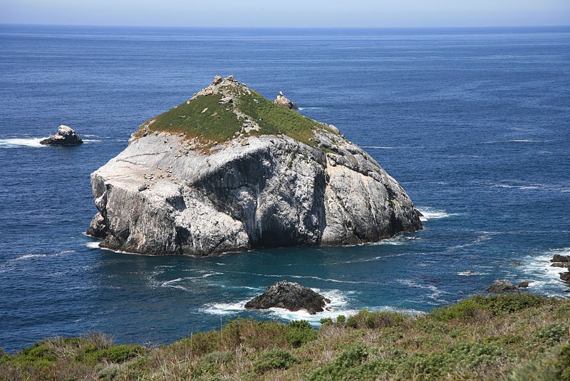 IMG_4940.jpg :: Along Claifornia highway 1 