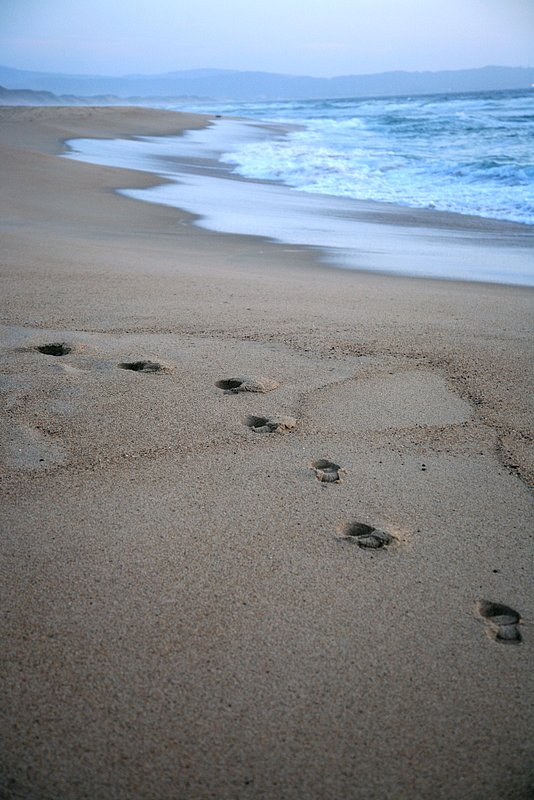 IMG_4986_e.jpg :: Walking into peacefulness