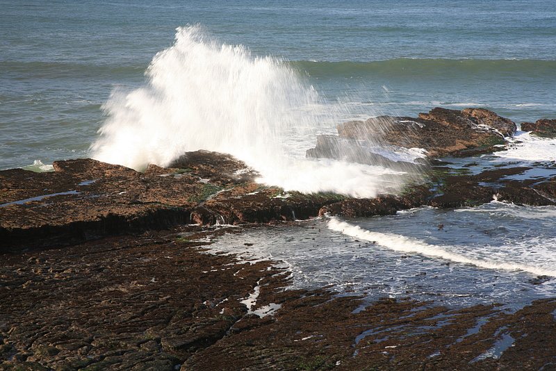 IMG_4991.jpg :: Nature's artwork in the waves