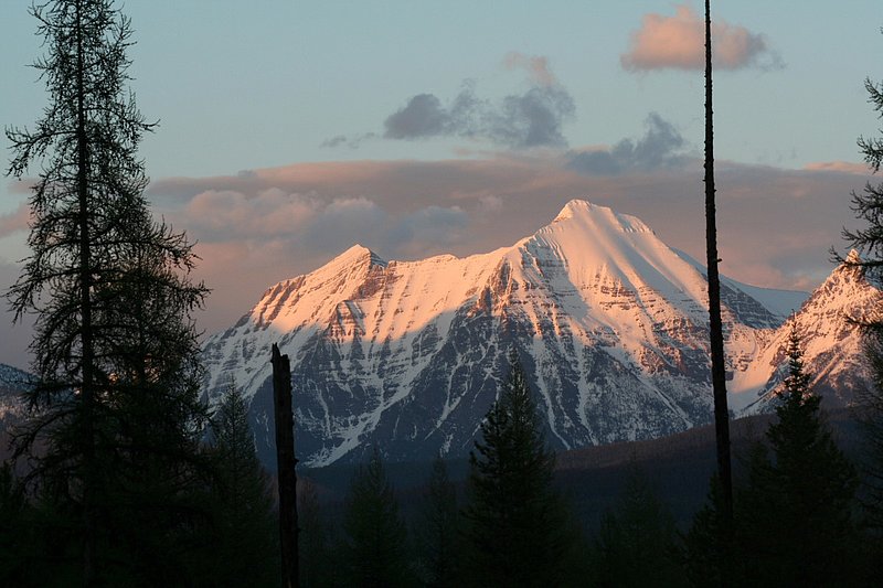 IMG_6774.jpg