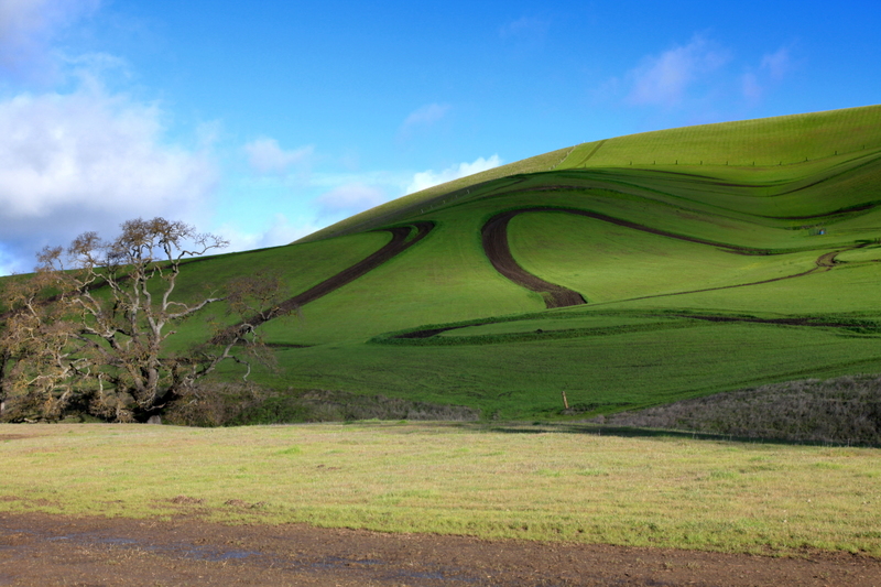 IMG_7876_2stops(1).jpg :: The patterns on the hillside caught my eye
