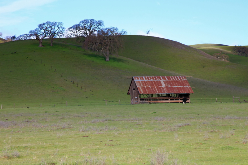 IMG_7879_lens2stops(1).jpg :: Love the contrast of the rusty shelter and green hills