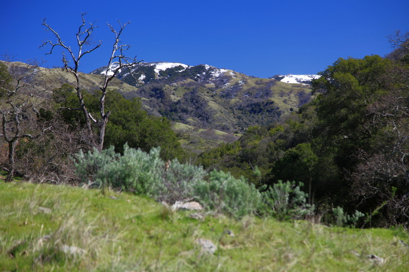 IMG_7999(1).jpg :: Unusual snow in California