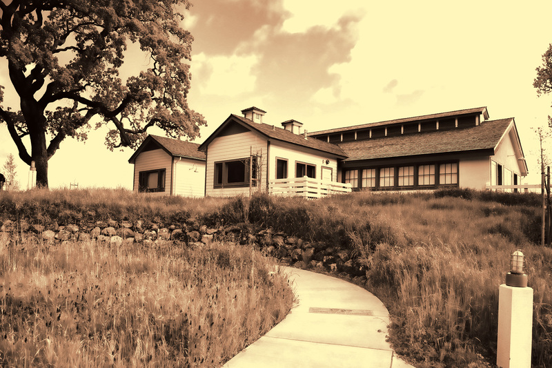 IMG_8344Alviso(1).jpg