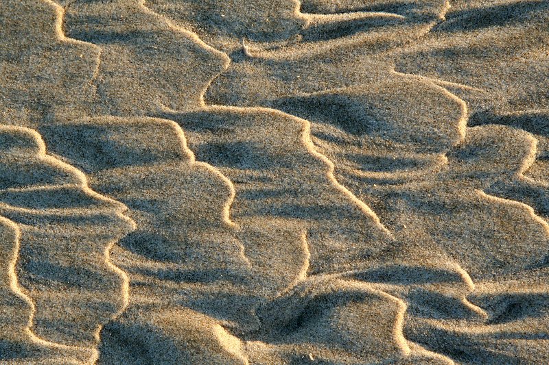 IMG_8781.jpg