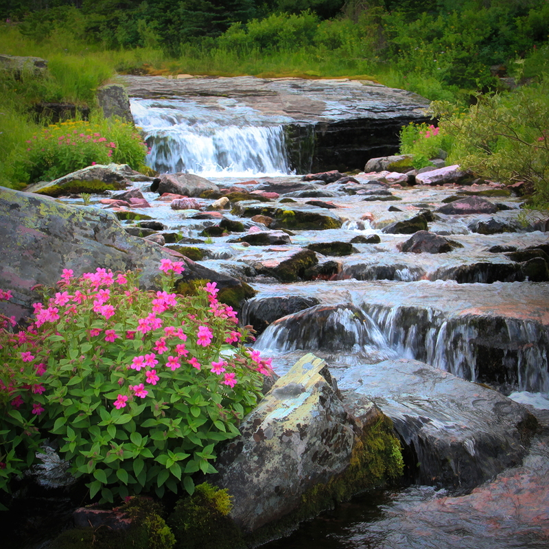 IMG_9219_ART(1).jpg