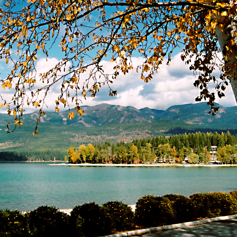 citybeachtree(1).jpg