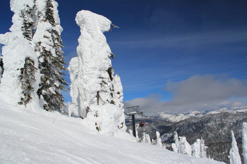 IMG_1396 -Snow ghosts and skiers Whitefish Mt..jpg
