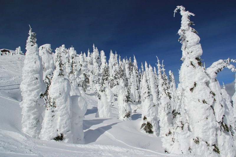 IMG_1404 -Snow ghosts Whitefish Mt..jpg