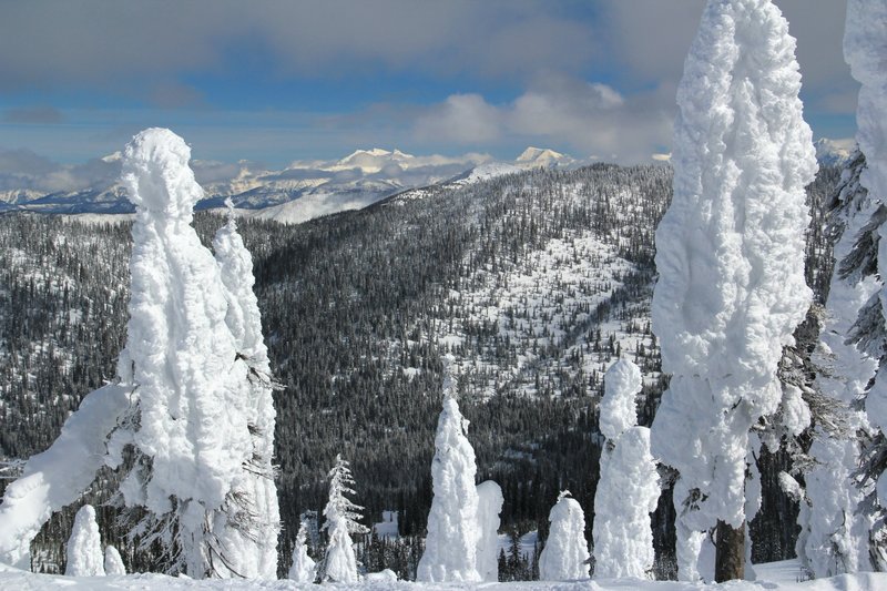 IMG_1414- Top of Whitefish Mt. with Glacier Park in distance.jpg