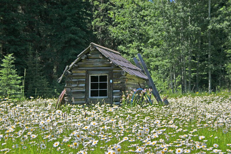 IMG_1574_Old Cabin_Polebridge.jpg