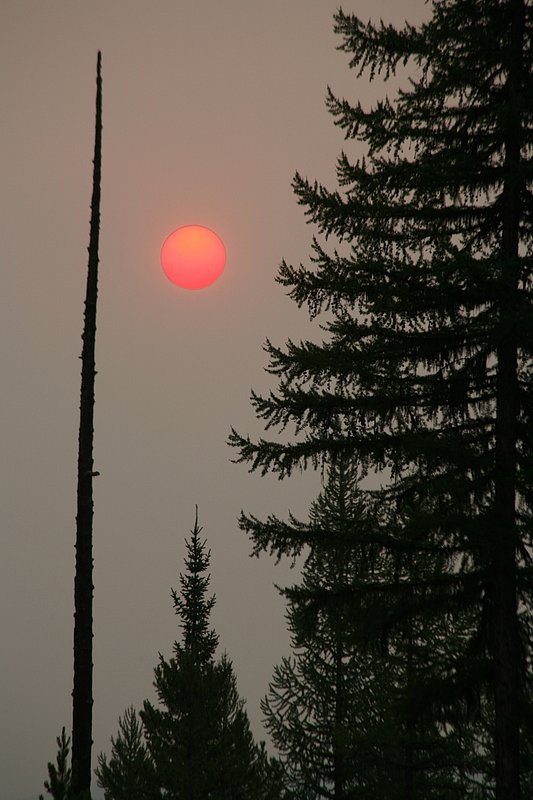 IMG_18421_sunrise through the smoke_North Fork.jpg