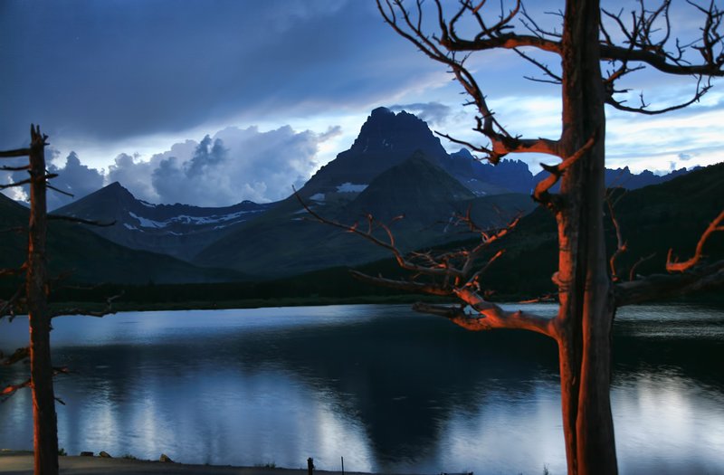 IMG_6803.1_surreal image with light from Many Glacier Hotel reflecting on tree.jpg