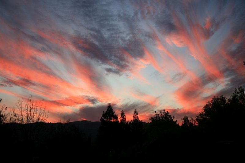 IMG_74351.jpg