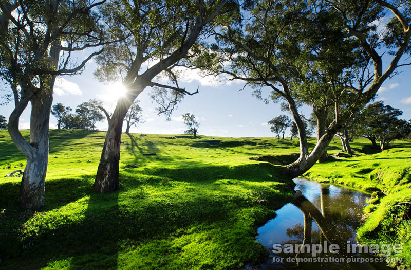 nature-bp-0011.jpg :: rolling hills of grass