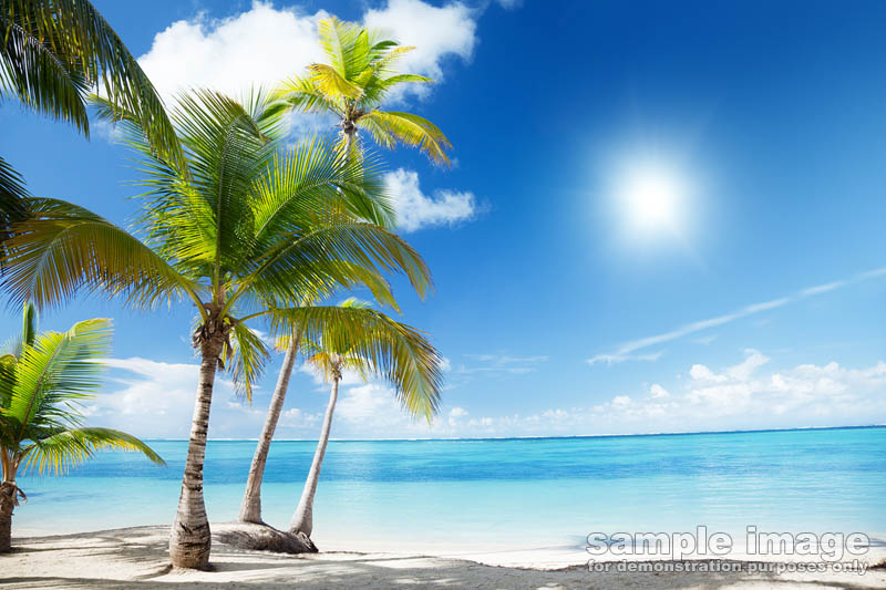 nature-bp-0041.jpg :: tropical beach with palm trees