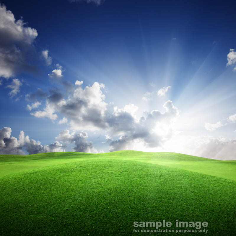 nature-bp-0201.jpg :: sunny skies over lush field
