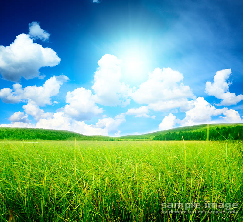 nature-bp-0261.jpg :: sunny sky over lush fields