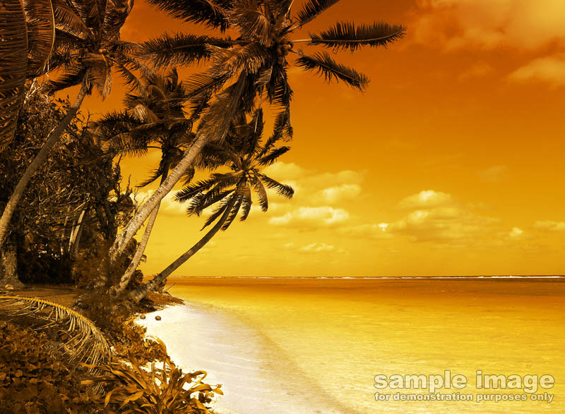 nature-bp-0311.jpg :: tropical beach with palm trees