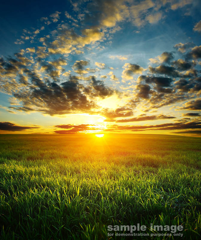 nature-bp-0321.jpg :: sunset over grassy fields