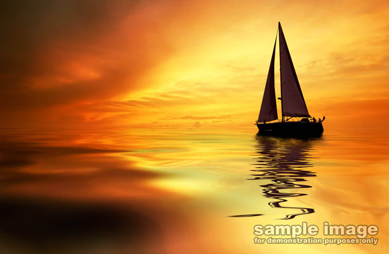 nature-sp-002.jpg