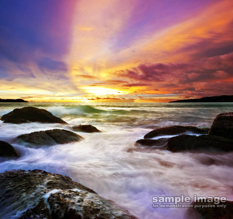 nature-sp-038.jpg
