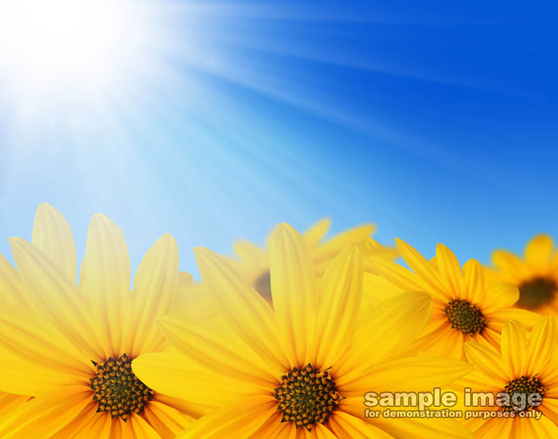 nature-sun-sp-010.jpg