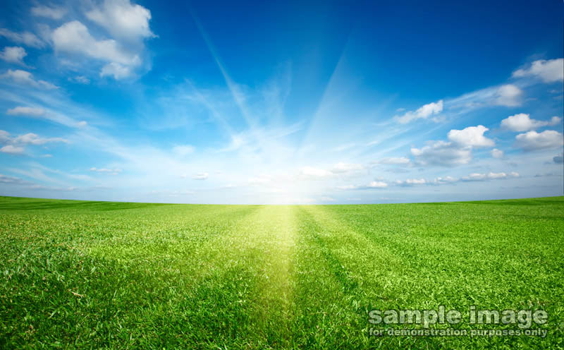 nature-sun-sp-011.jpg
