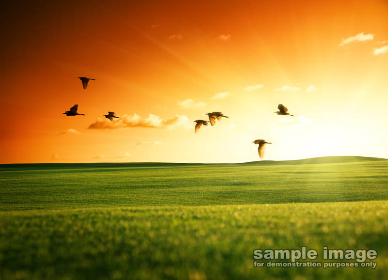 nature-sun-sp-014.jpg